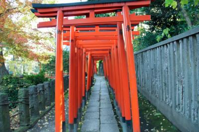 根津神社鳥居