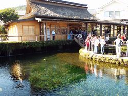 忍野八海の浅間神社