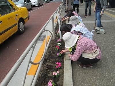 本郷通りの花壇に花を植えました