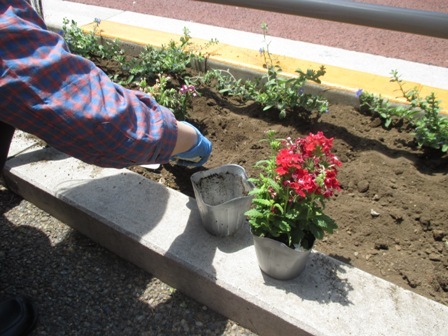 土を耕して花を植えます