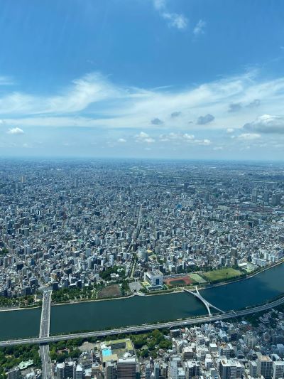 スカイツリーからの景色