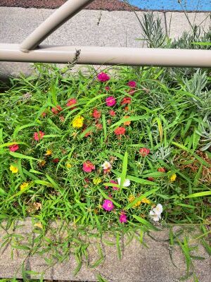 記事画像